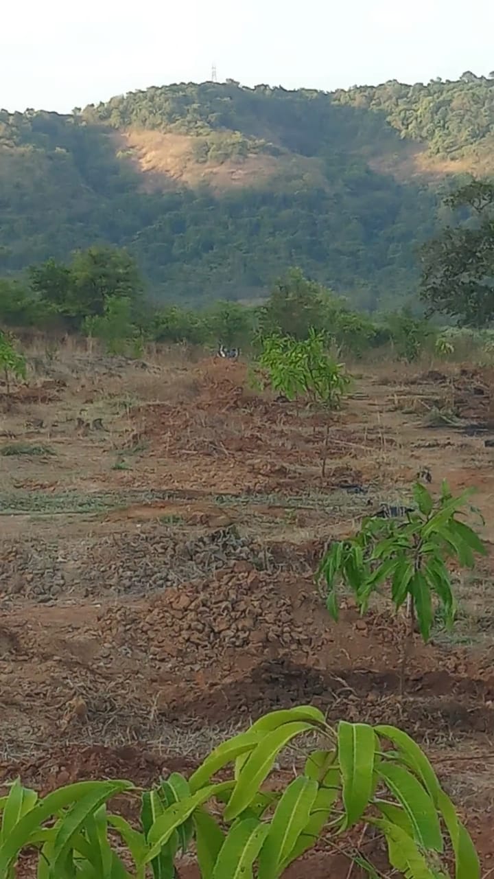 https://www.adityapratishthan.org/wp-content/uploads/2021/06/WhatsApp-Image-2021-06-14-at-17.04.57.jpeg